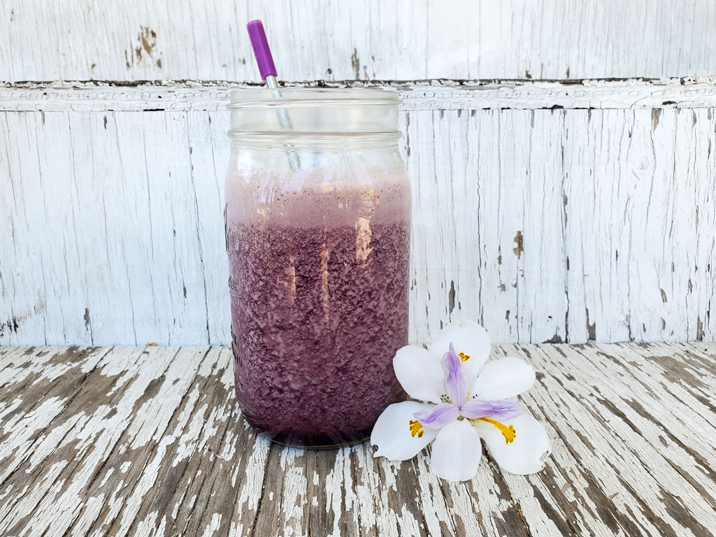 Blueberry Ginger Gut Healing Smoothie With L-Glutamine & Collagen Peptides Close