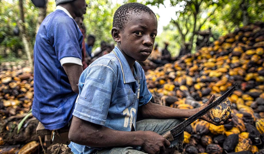 The Story of Chocolate Isn't as Sweet as Its Taste