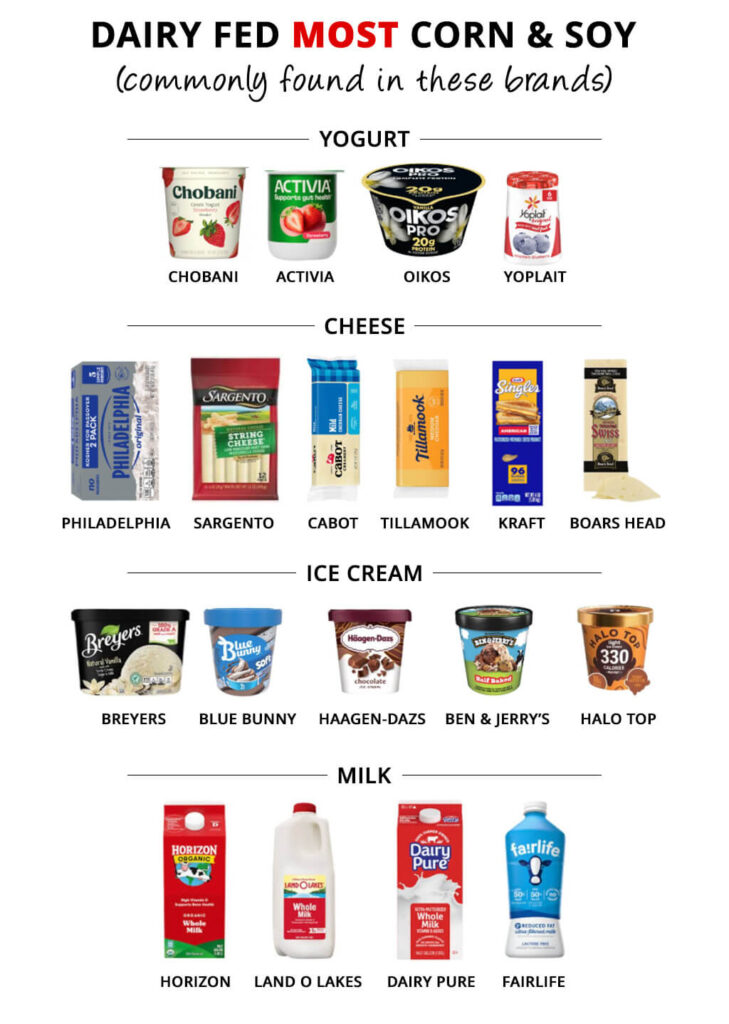 Dairy Fed Most Corn & Soy