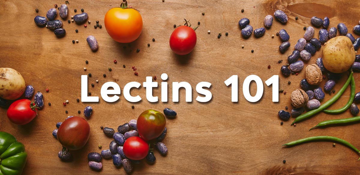 Lectins 101: What You Need to Know