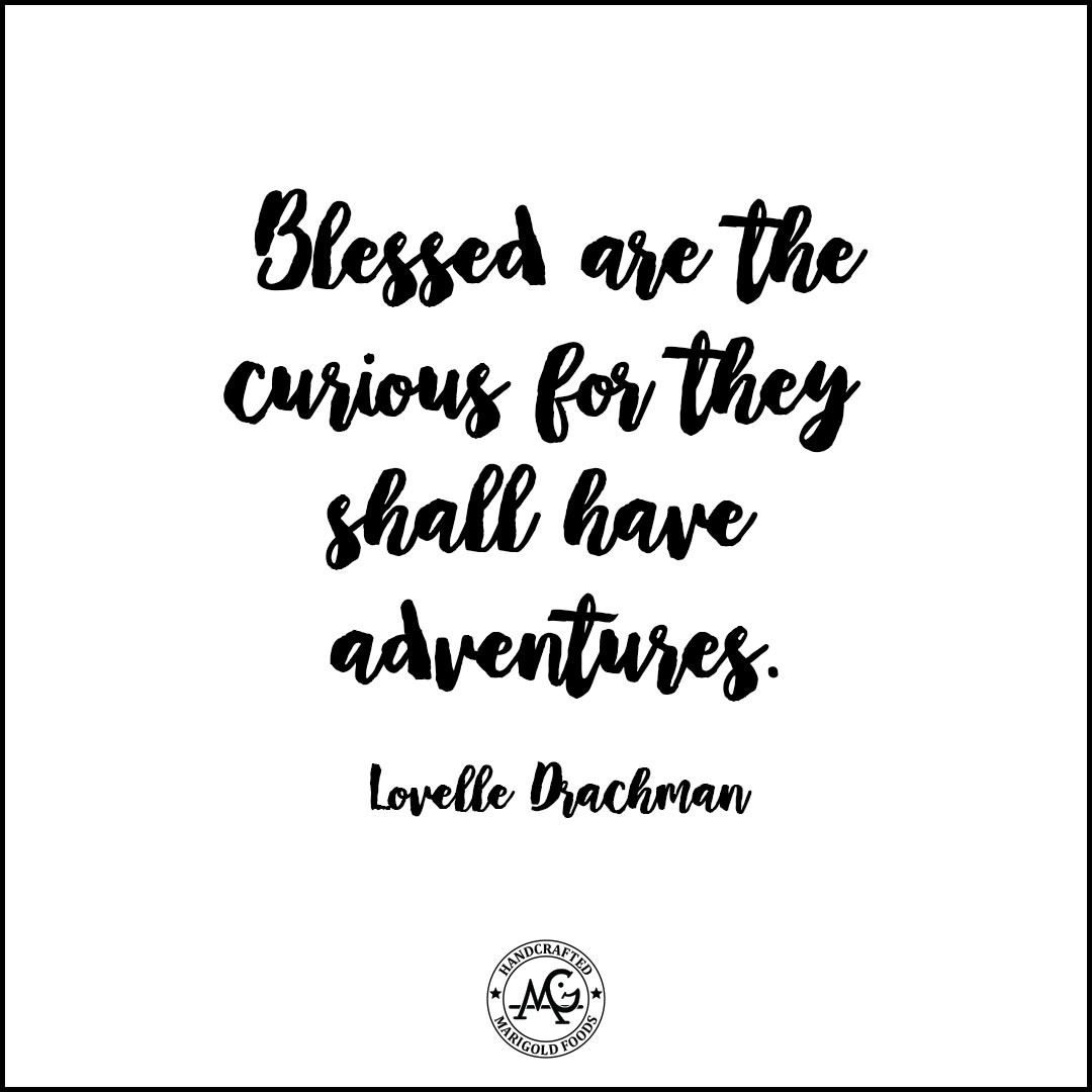 Blessed are the curious for they shall have adventures. Lovelle Drachman