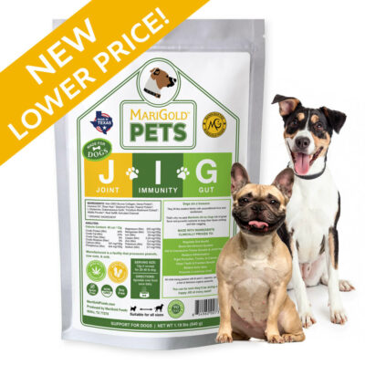 New lower Price on MariGold Joint Immunity Gut JIG Support for Dogs