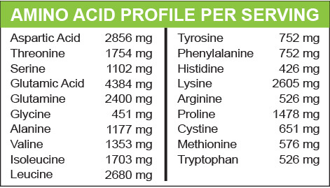 MariGold Creamy Vanilla Whey Protein Isolate Powder - amino acid profile