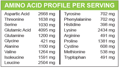 MariGold Whey Protein Isolate Rich Chocolate Malt Amino Acid Profile