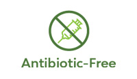 Antibiotic Free