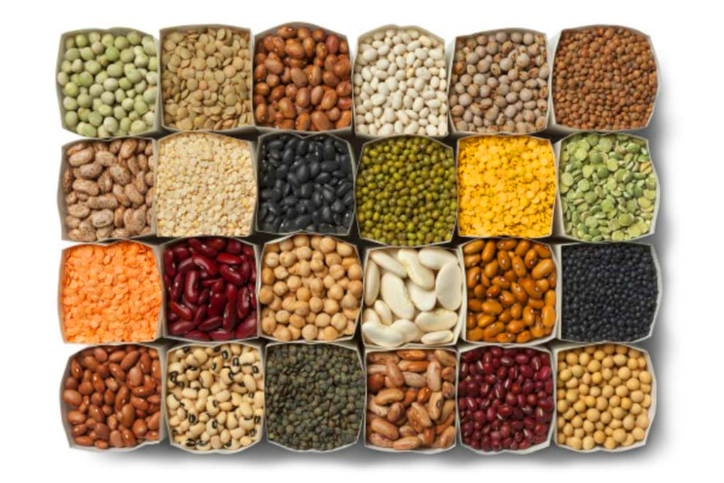 Beans: Nutritional Friend or Foe?