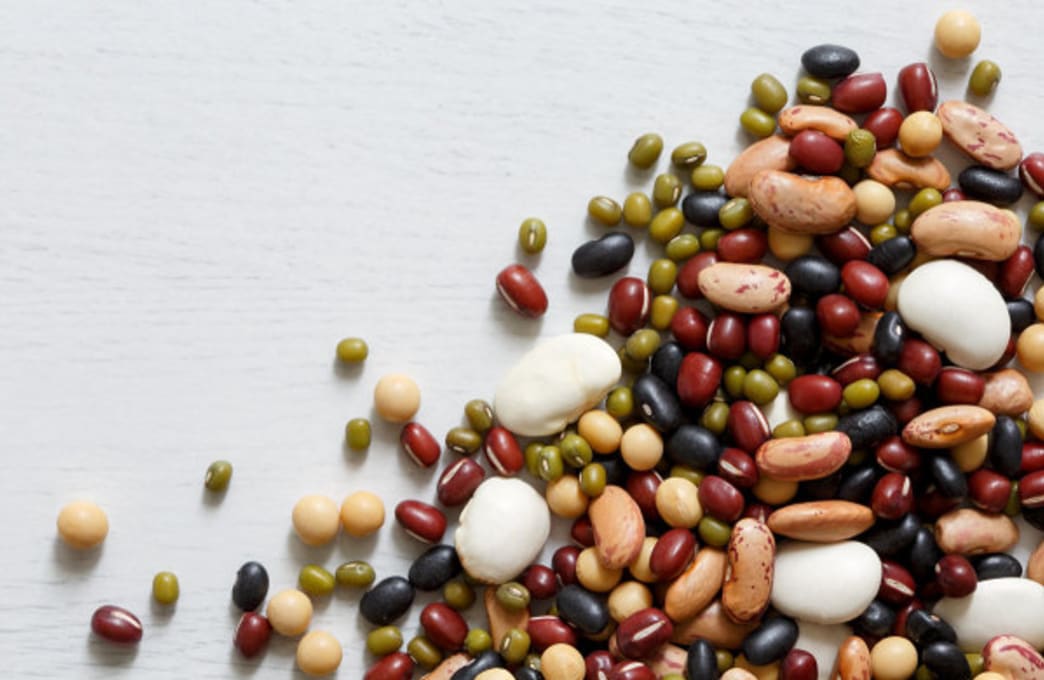 Beans vs. Legumes