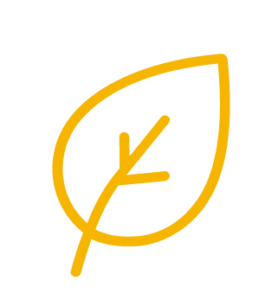 Clean Ingredients