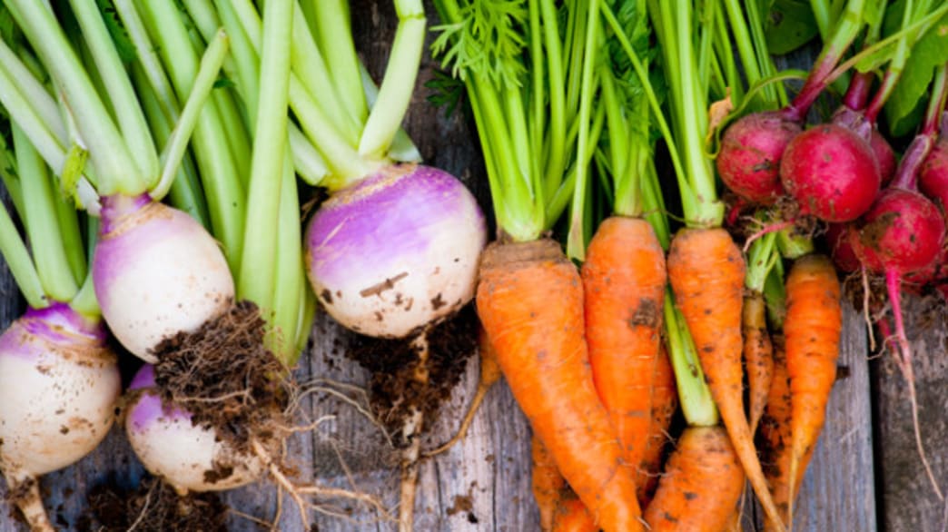 Colorful Organic Vegetables