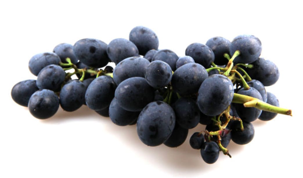 Fall Superfoods - Concord Grapes