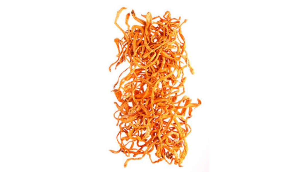 Cordyceps - Adaptogenic Herbs for Immune Health