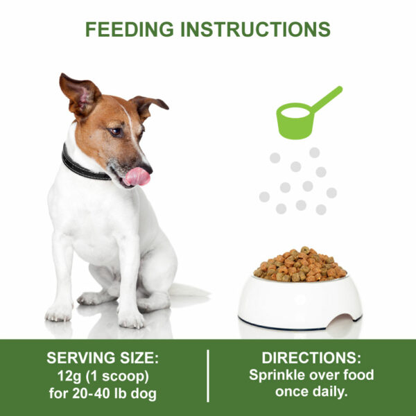 MariGold Dog JIG Feeding Instructions