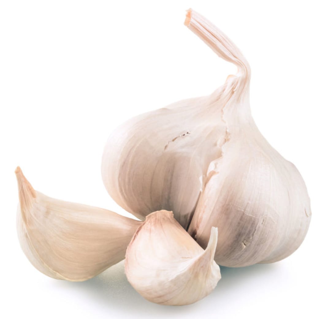 Garlic