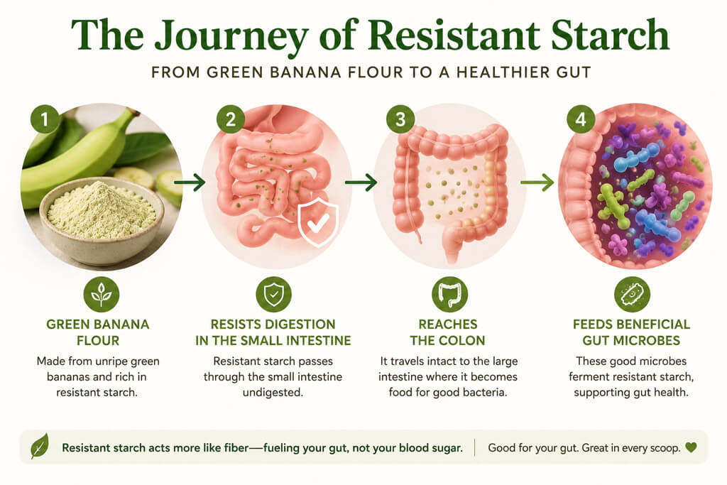 Green Banana Flour - A resistant starch