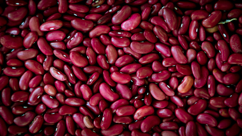 Kidney Beans to Ease Stress and Soothe Anxiety