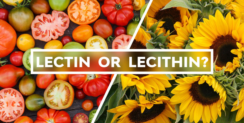 Lectin or Lecithin