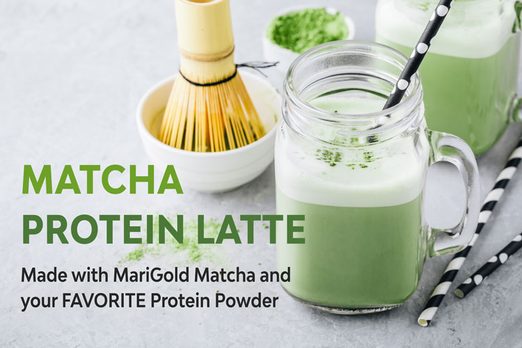 MariGold Protein Matcha Latte