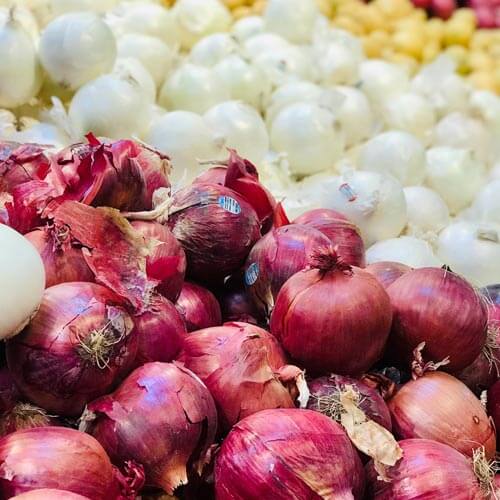 Onion for healing your gut and onions for gut health