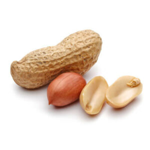 Organic Peanut Protein