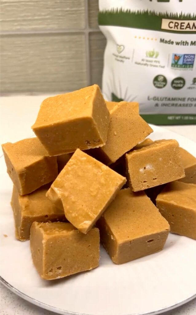 Peanut Butter Protein Fudge