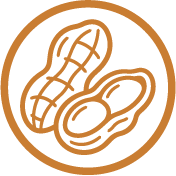 Organic Peanut Protein