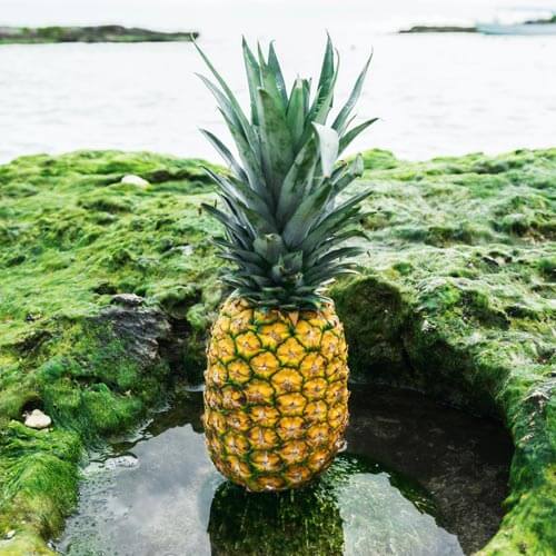 Pineapple for healing your gut and pineapple for gut health