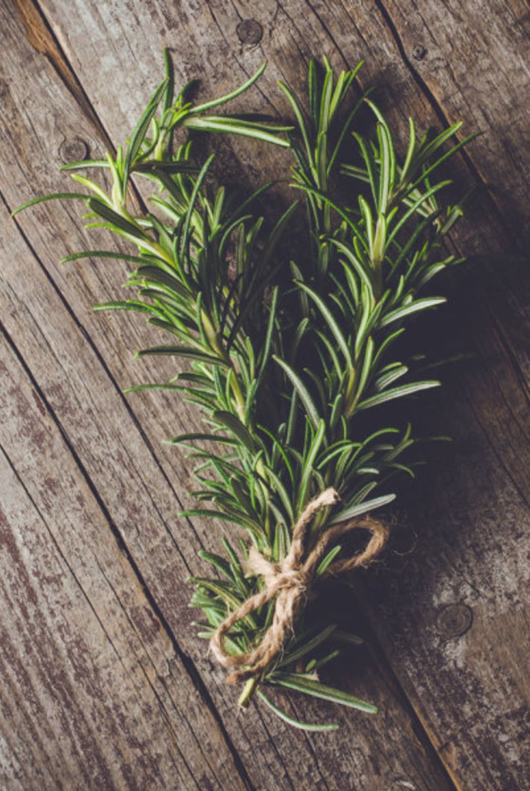 Rosemary - Brain Foods