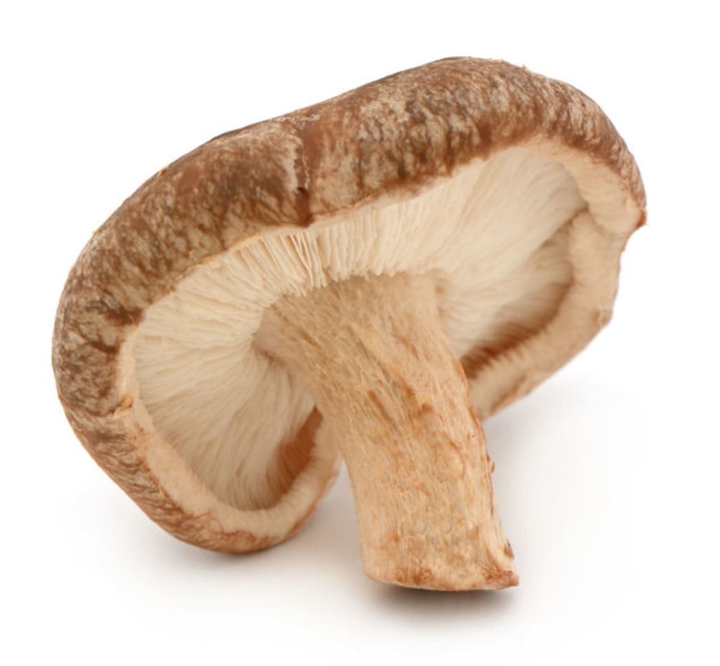 Shiitake Mushrooms