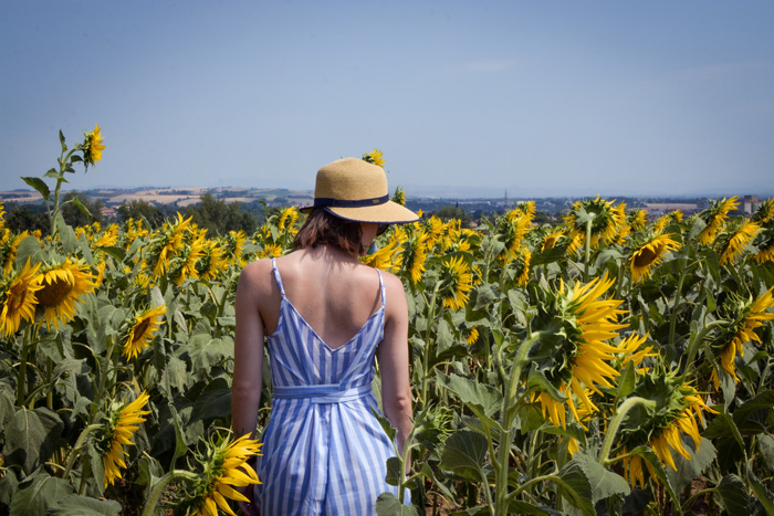 Sunflower Lecithin