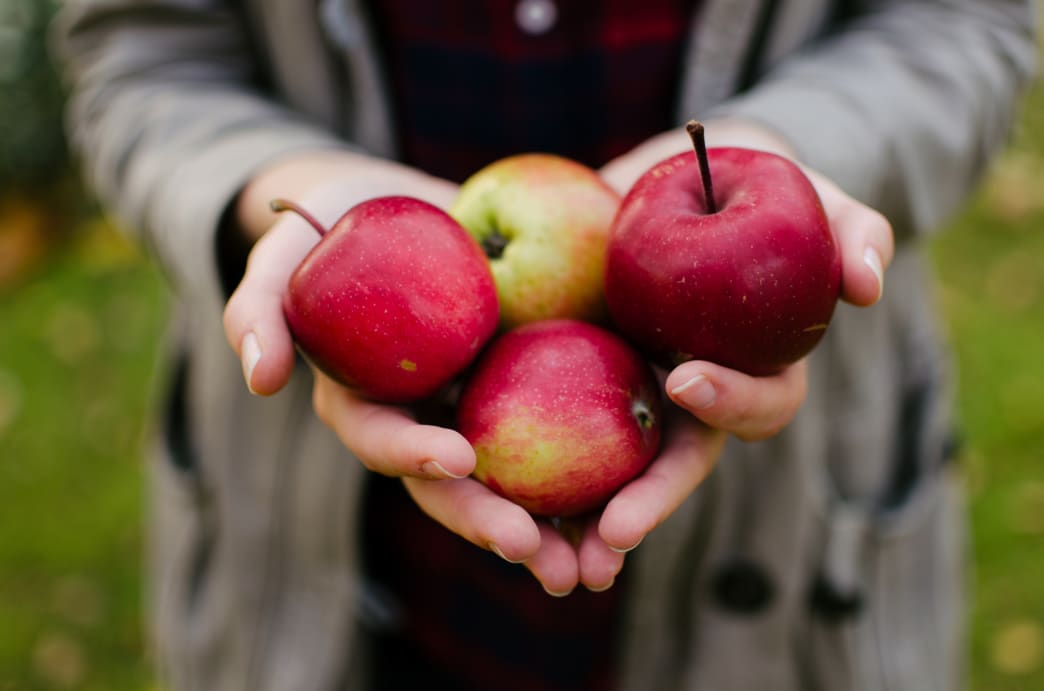 The Healthy Benefits of Apple Cider Vinegar – Diabetes and More