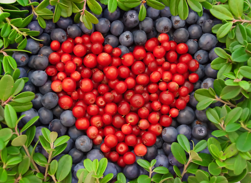 10 Heart-Healthy Foods