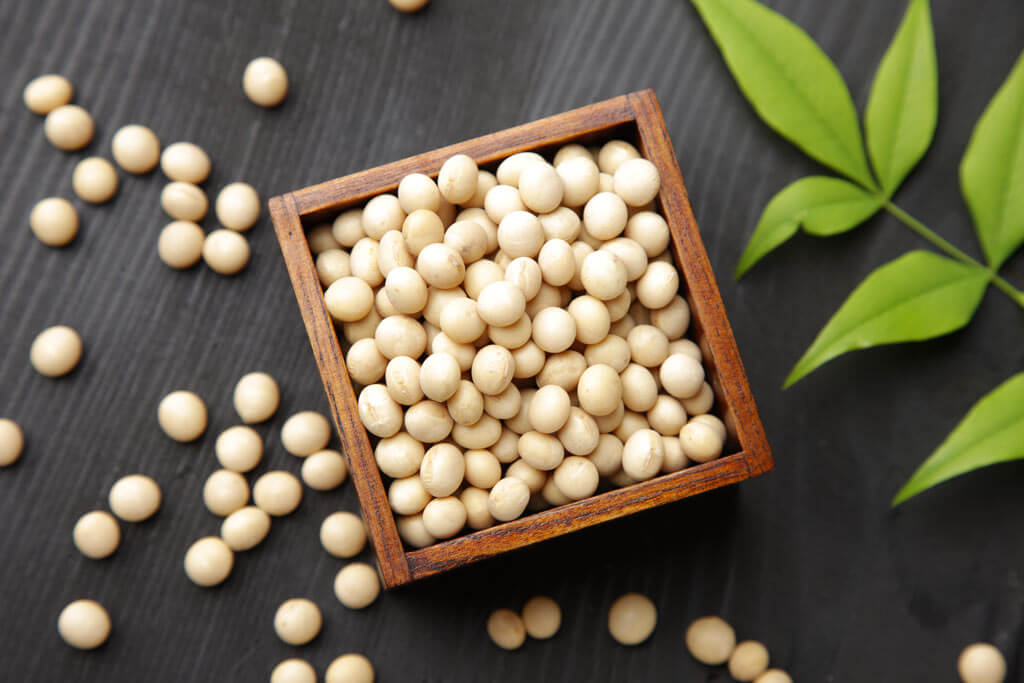 The trouble with soy - soy beans