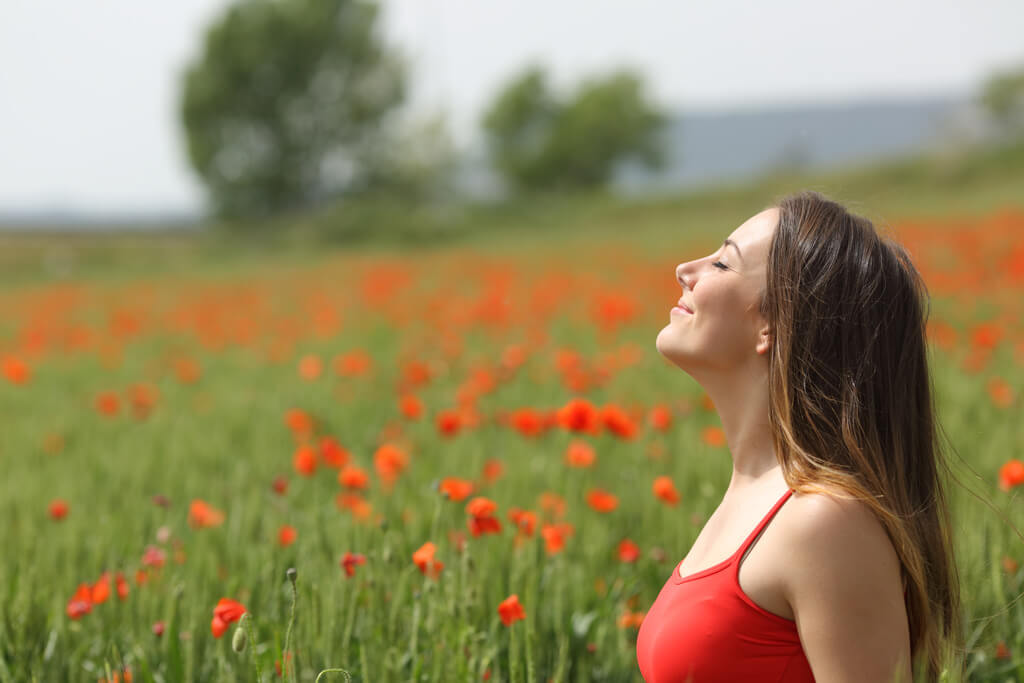 Marigold for allergy relief